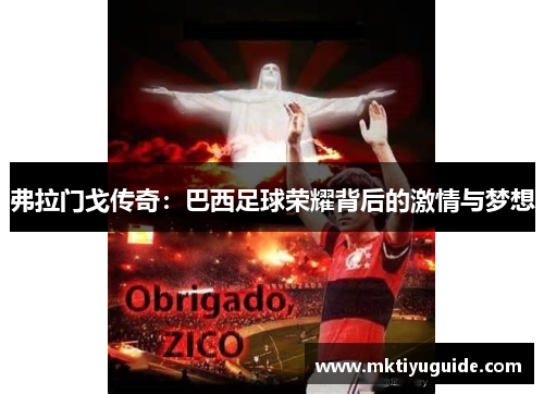 弗拉门戈传奇：巴西足球荣耀背后的激情与梦想